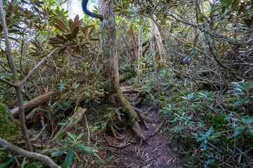 Mt. Mizugaki, Takamiiwa and surrounding views