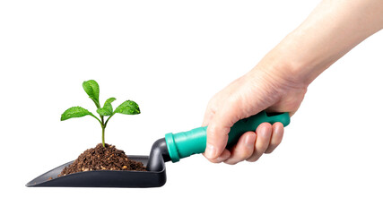 シャベルで新芽を植える手。
植樹、ガーデニングなどののイメージ