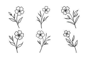 Flax Flower (Linum spp.) line art vector illustration