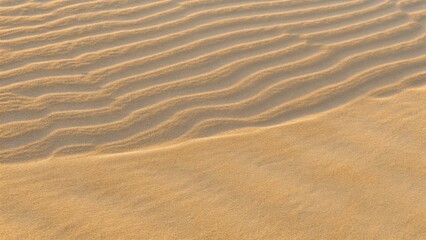 Fototapeta premium Top view of desert dunes or tropical seashore landscape. Wavy sand surface illustration. Realistic coastal beach texture. Summer background of natural sandy seaside shore. Beach background