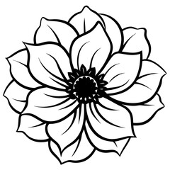 black and white flower