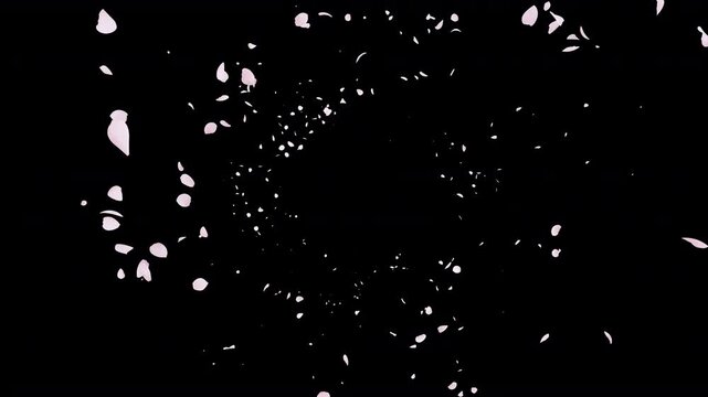 螺旋状に吹き上がる桜の花びら アルファマット付き