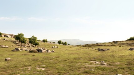 Obraz premium Landscape grassland livestock outdoors.
