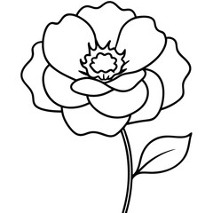 vector illustration of rose