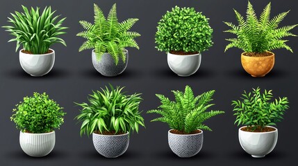 Collection of indoor plants in decorative pots arranged on a dark background showcasing variety