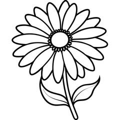 white flower isolated on black