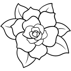 hand drawn flower