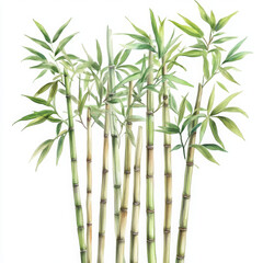 Elegant painted bamboo illustration presents serene, natural beauty
