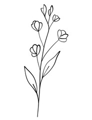 tiny wild flowers and plants line art botanical illustrations. Trendy greenery hand draw lines black ink sketches. vector illustration