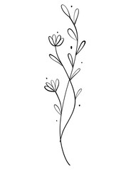 tiny wild flowers and plants line art botanical illustrations. Trendy greenery hand draw lines black ink sketches. vector illustration
