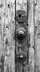 Fototapeta premium Close-up of weathered wood planks with three aged metal fasteners.