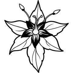 black and white flower