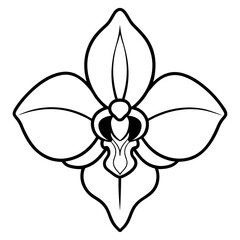 black and white flower