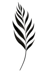Fototapeta premium Plant leaf line white background monochrome.