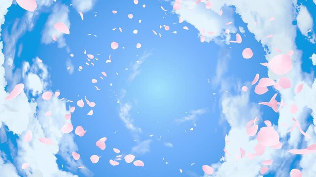 螺旋状に吹き上がる桜の花びら 青空