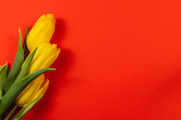 Celebrate spring with vibrant yellow tulips for Mother's Day and Women's Day