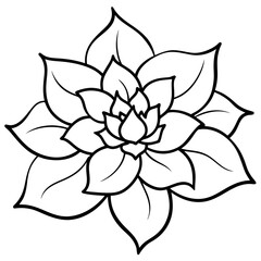 black and white flower