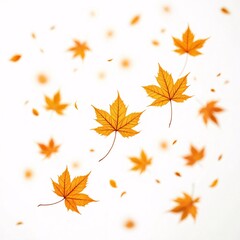 Fototapeta premium Floating maple leaves in warm autumn tones on a white background.