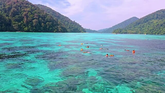 Witness the vibrant marine life and crystal-clear waters of Surin Island, Thailand, as adventurous snorkelers glide over coral reefs amidst lush green hills and a clear sky.