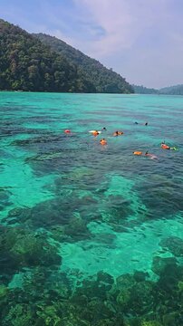 Explore the vibrant marine life in the crystal-clear waters of Surin Island, Thailand. People snorkeling in the ocean