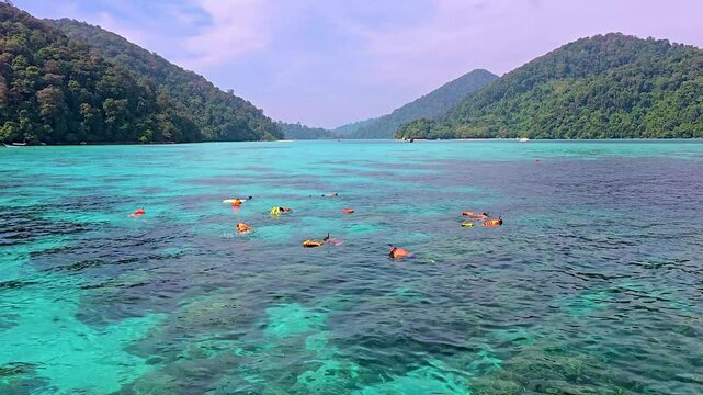 Experience the breathtaking beauty of Surin Island in Thailand as snorkelers glide through clear turquoise waters teeming with vibrant marine life surrounded by lush green hills.