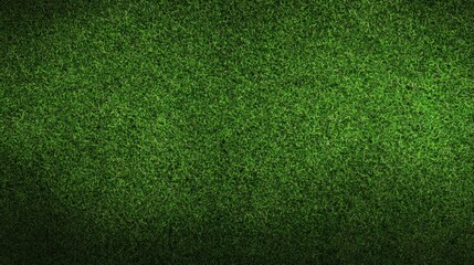 Fresh Green Grass Texture for Natural Landscape and Background Use