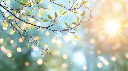 Obraz premium Serene Springtime Sunlit Branches Green Leaves Bokeh Background