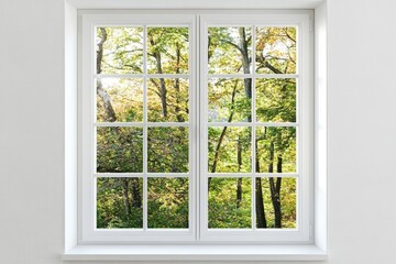 White window frame overlooking a lush green forest scene