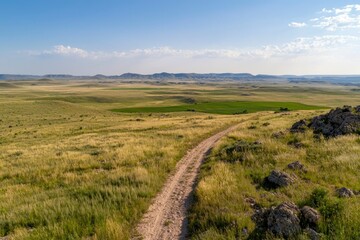 Fototapeta premium Rural dirt road passes through meadow landscape on a sunny day, with blue skies