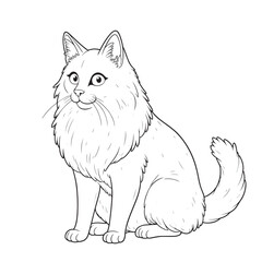 Obraz premium Curious Kitty