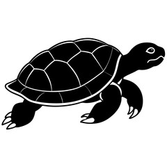 Cute Silhouette Turtle Line Art Black Vector Carton Illustration