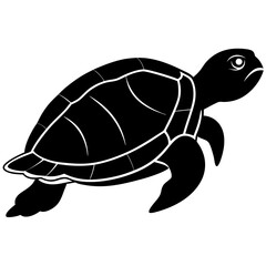 Cute Silhouette Turtle Line Art Black Vector Carton Illustration