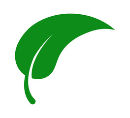 Minimalist Green Leaf Icon for Eco-Friendly Branding, Sustainable Projects, and Environmental Awareness Campaigns. Vector illustration