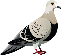 eurasian-collared-dove-black-and-white