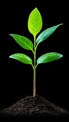 Plant seedling growing from fertile soil, symbolizing new life and environmental care generative AI
