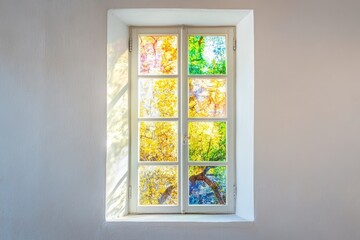 Light filters through a divided window revealing colorful autumn foliage