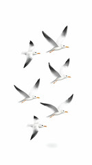 Fototapeta premium Seagulls soar in a clear sky, possibly for use in nature themed illustrations generative AI
