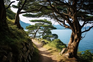 Obraz premium Outdoors land landscape woodland.