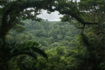 Obraz premium Dense jungle scene with twisted tree in foreground, creating a lush canopy of greenery. Peaceful and serene atmosphere.