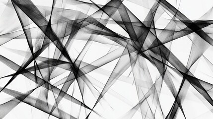 Fototapeta premium Abstract Black and White Lines