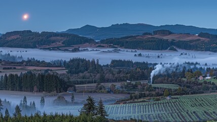 Captivating Misty Morning Above Sunflower Fields An Ethereal Nature Photography Experience
