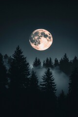 Fototapeta premium Moon over dark forest with fog. Night scene, nature background, stock photo
