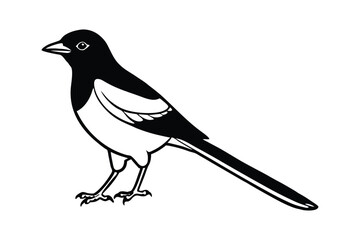 A black and white vector art illustration of a Oriental magpie4.eps