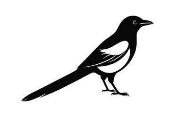 Silhouette of a Oriental magpie vector art illustration4.eps