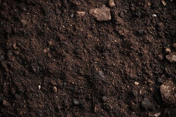 Dark Soil Texture: A Rich, Earthy Photographic Study
