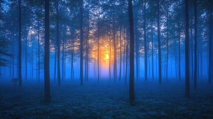 Obraz premium Serene forest landscape at dawn with mist, showcasing vibrant sunrise through trees