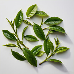 Green leaves isolated on white background Generative AI