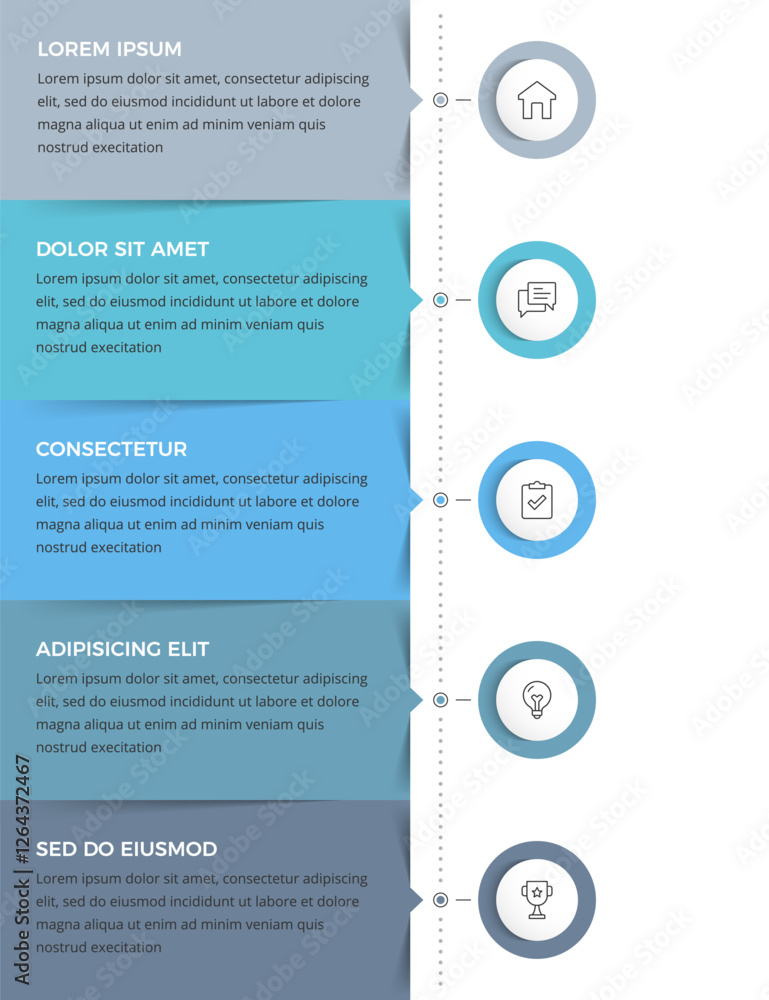 Poster infographic template with five rectangles for your text arranged vertically, infographics of a proce