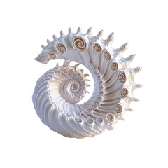 Fototapeta premium Intricate Spiral Seashell A Masterpiece of Natural Geometry