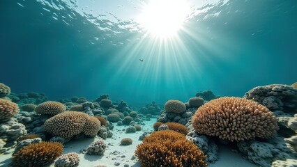 Fototapeta premium Underwater coral reef with sun rays shining through clear tropical ocean 